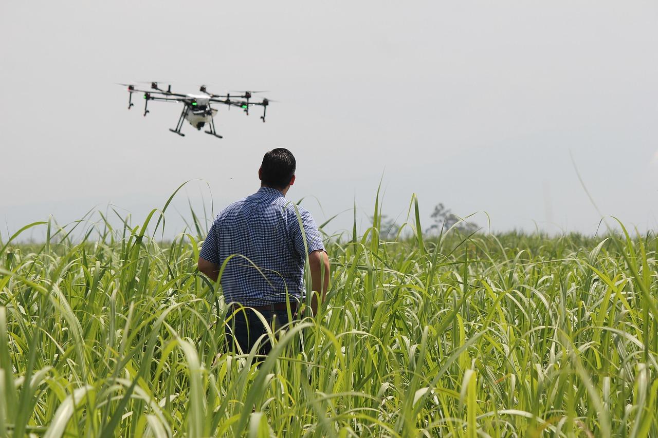 Do uso de drones à agricultura regenerativa, o setor agro brasileiro alia tradição e inovação para alimentar o mundo e impulsionar a economia.